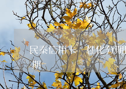 民泰信用卡個性化分期 民泰信用卡個性化分期
