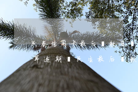 民泰信用卡最后還款日過(guò)了一天算逾期嗎(民生最后還款日第二天還款算逾期嗎)