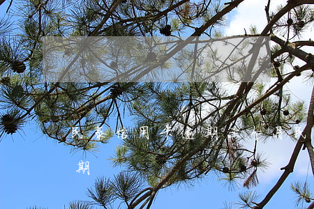 民泰信用卡逾期三个月(民泰信用卡几天算逾期)