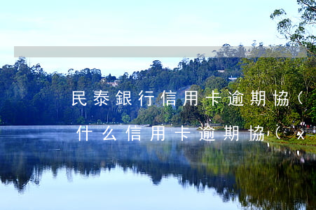 民泰銀行信用卡逾期協(xié)商還款(為什么信用卡逾期協(xié)商不了)