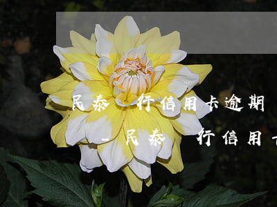 民泰銀行信用卡逾期會(huì)去戶籍地嗎-民泰銀行信用卡逾期會(huì)去戶籍地嗎知乎