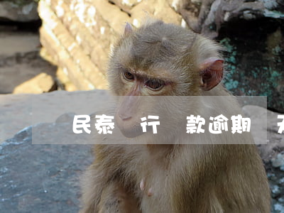 民泰銀行還款逾期兩天