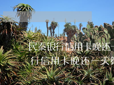 民泰银行信用卡晚还一天算逾期吗-民泰银行信用卡晚还一天算逾期吗怎么办