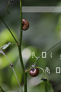 民營(yíng)信用卡未逾期協(xié)商還款(欠銀行信用卡第三方協(xié)商還本金不承認(rèn))