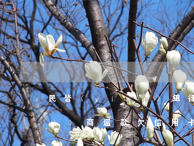 民營(yíng)銀行信用卡逾期協(xié)商還款(欠信用卡可以協(xié)商還款嗎)
