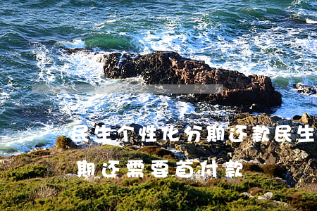 民生个性化分期还款(民生银行申请个性化分期还需要首付款)