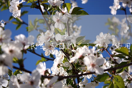民生五萬(wàn)信用卡欠半年