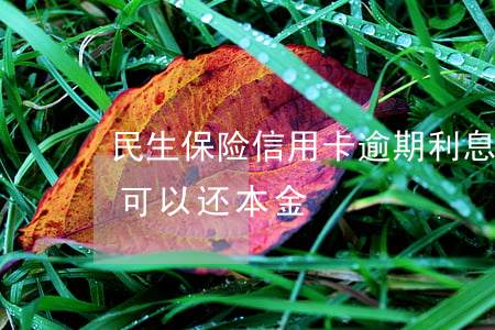 民生保险信用卡逾期利息(民生信用卡逾期说可以还本金)