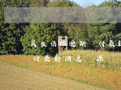 民生信托逾期兌付最新消息(民生信托逾期兌付最新消息啟源)
