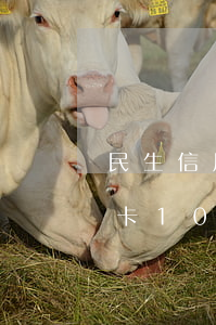 民生信用卡10萬逾期后果(欠民生銀行信用卡10萬銀行起訴后怎么辦)