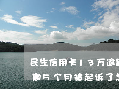 民生信用卡13万逾期 民生信用卡3万块逾期5个月被起诉了怎么办