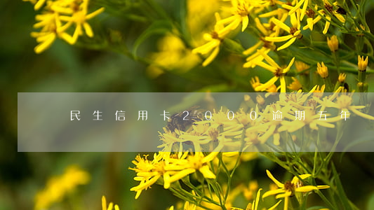 民生信用卡2000逾期五年沒還