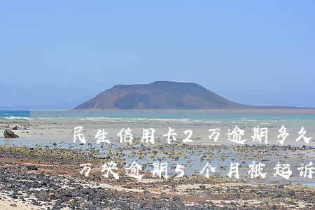 民生信用卡2万逾期多久起诉(民生信用卡3万块逾期5个月被起诉了怎么办)