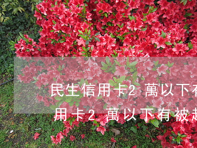 民生信用卡2萬以下有被起訴的嗎-民生信用卡2萬以下有被起訴的嗎知乎