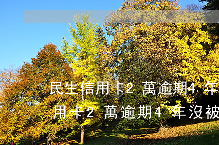 民生信用卡2萬逾期4年沒被起訴-民生信用卡2萬逾期4年沒被起訴會(huì)怎樣