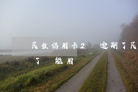 民生信用卡2萬逾期了(民生信用卡2萬逾期了還能用嗎)