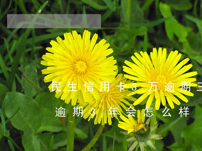 民生信用卡3万逾期三年怎么办(信用卡3万逾期3年会怎么样)