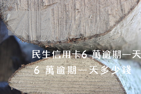 民生信用卡6萬逾期一天多少錢(民生信用卡6萬逾期一天多少錢)