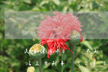 民生信用卡6萬還不起-欠民生信用卡5萬以上有刑事責(zé)任嗎