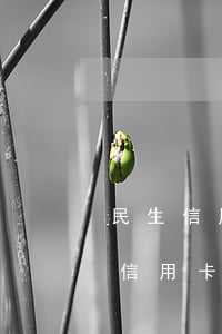 民生信用卡一萬(wàn)元逾期十年(民生信用卡10萬(wàn)逾期2年)