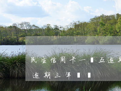 民生信用卡一萬五逾期兩年(民生信用卡2萬逾期三年沒還)