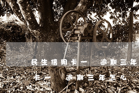 民生信用卡一萬逾期三年怎么辦-民生信用卡一萬逾期三年怎么辦理