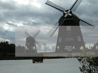 民生信用卡三天逾期(民生逾期三個月)