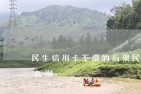 民生信用卡不還的后果(民生信用卡還不上怎么辦)