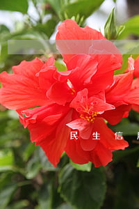 民生信用卡两期逾期(民生信用卡两期逾期)