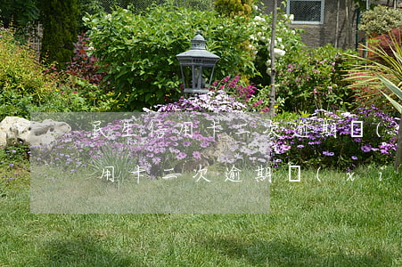 民生信用卡二次逾期協(xié)商(民生信用卡二次逾期協(xié)商)