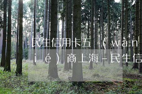 民生信用卡五萬(wàn)以上逾期協(xié)商上海-民生信用卡五萬(wàn)以上逾期協(xié)商上海銀行