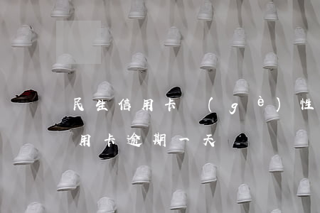 民生信用卡個(gè)性化分期逾期(民生信用卡 逾期一天)