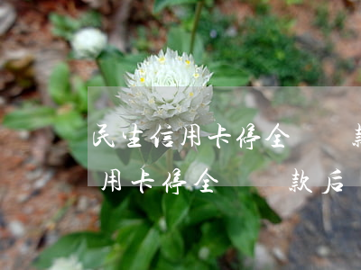 民生信用卡停全額還款后開通卡片-民生信用卡停全額還款后開通卡片還能用嗎