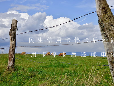 民生信用卡停卡后还能申请新卡吗-民生信用卡停卡后还能申请新卡吗知乎