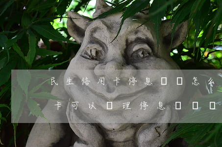 民生信用卡停息掛賬怎么操作(民生銀行信用卡可以辦理停息掛賬嗎)
