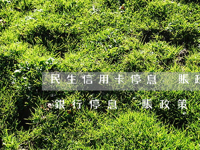 民生信用卡停息掛賬政策-2022年各大銀行停息掛賬政策