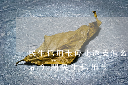 民生信用卡停止透支怎么辦(怎樣關(guān)閉民生信用卡)