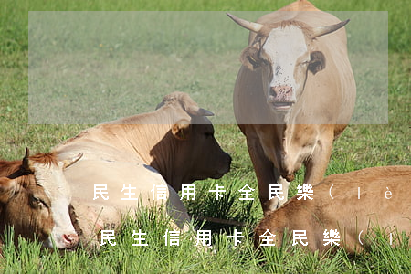 民生信用卡全民樂(lè)分期逾期怎么辦(民生信用卡全民樂(lè)分期逾期怎么辦)