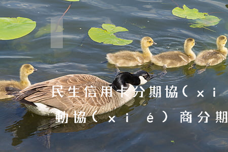 民生信用卡分期協(xié)商(民生銀行主動協(xié)商分期還要手續(xù)費)