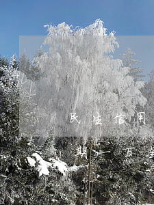 民生信用卡分期逾期一万 民生信用卡分期逾期一万会怎么样