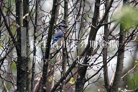 民生信用卡分期逾期一萬 民生信用卡分期逾期一萬會怎么樣