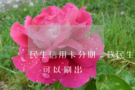 民生信用卡分期還款(民生信用卡分期還款后還可以刷出來嗎)