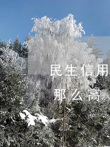 民生信用卡利息24(民生信用卡利息為什么那么高)