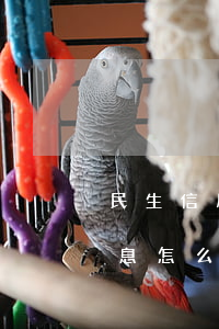 民生信用卡利息公式-民生銀行的信用卡利息怎么算