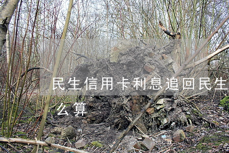 民生信用卡利息追回(民生信用卡利息追回怎么算)