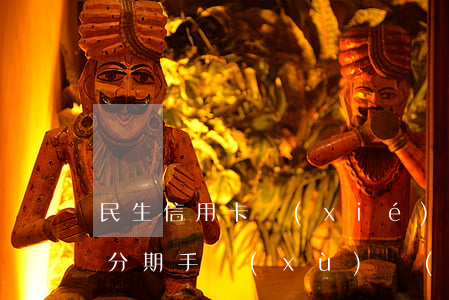 民生信用卡協(xié)商個(gè)性化分期手續(xù)費(fèi)怎么算-民生信用卡協(xié)商個(gè)性化分期手續(xù)費(fèi)怎么算