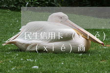 民生信用卡協(xié)商全額-民生銀行協(xié)商