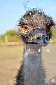 民生信用卡協(xié)商成功率(有跟民生協(xié)商還款成功的么)
