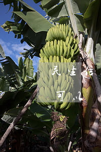 民生信用卡協(xié)商(民生信用卡逾期可以協(xié)商還本金嗎)