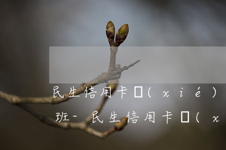 民生信用卡協(xié)商還款客服幾點上班-民生信用卡協(xié)商還款客服幾點上班的